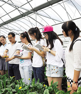 开展暑期社会实践活动